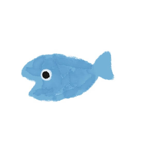 海の生き物